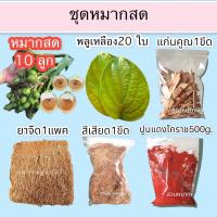 ราคา ชุดหมาก พร้อมเคี้ยว หมาก ชุดหมากสด10ลูก หมากแห้ง พลูเหลือง 20ใบ สีเสียด1ขีด ปูนแดงโคราช แก่นคูณ1ขีด ยาจืด ชุดหมากฝากคุณยาย (14318195708)