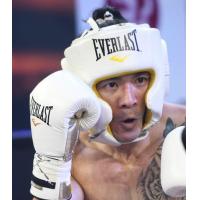ราคา เฮดการ์ด ปกป้องศีรษะ มวยไทย มวยสากล EVERLAST PRO SPARRING HEADGEAR (5979932942)