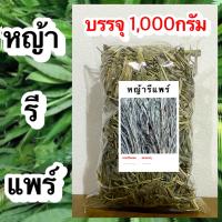 ราคา หญ้ารีแพร์ หญ้ารีแพร์แห้ง หญ้ารีแพร์อบแห้ง สมุนไพรหญ้ารีแพร์อบแห้ง (20517522611)