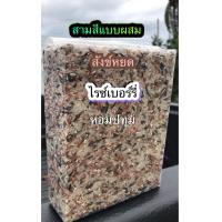 ราคา ข้าวสามสีแบบผสมรวม สังข์หยด ไรข์เบอรี่ หอมปทุมพัทลุง ข้าวใหม่ๆจากพัทลุง100 ปลอดสาร100 (1360806695)