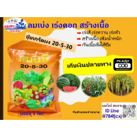 ราคา ปุ๋ยเกร็ดแนนซี่ สูตร 20 5 30 ลมเบ่ง เร่งดอกสร้างเนื้อเสริมการเจริญเติบโตและความสมบูรณ์ ให้ลำต้น รากและใบ บรรจุ 1 กก ปุ๋ยเกร็ด ปุ๋ย (19736133687)