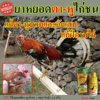 ราคา ยาหยอดตาไก่ชน ยาหยอดตาไก่ ยาหยอดไก่ไข่ หวัดหน้าบวมไก่ แก้ตาอักเสบไก่ชน 4 c c รักษาไก่ชนตาอักเสบ ตาบวม เจ็บตาจากการชน หรือฝีดาษไก่ และหูน้ำหนวก หูอักเสบ หยอดตาแก้อักเสบหลังชน หยอดตาแก้อักเสบหลังชน แก้ต