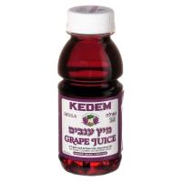 ราคา Grape Juice Kedem 240 ml น้ำองุ่นเคเด็ม 240 มล (19910023968)