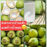 ราคา มะพร้าวน้ำหอมแท้ 100 รับประกันความหอมหวาน ตัดสดใหม่ จากสวนบ้านแพ้ว (19345764466)