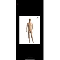 ราคา หุ่นโชว์ หุ่นขายเสื้อผ้า หุ่นโชว์ผู้ชายหลายแบบ (17215602214)