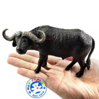 ราคา Munich Play โมเดลสัตว์ Buffalo ควายป่า ขนาด 13 00 CM จากหาดใหญ่ (8887433751)