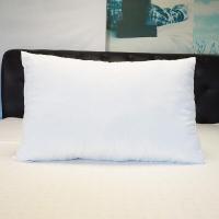 ราคา หมอนหนุน หมอนหนุนสูญญากาศ หมอนหนุนใยสังเคราะห์ (16148104996)