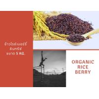 ราคา ข้าวไรซ์เบอร์รี่อินทรีย์ ข้าวปลอดสารพิษ organis rice ขนาด1กิโลกรัม 5 แพ็ค organic riceberry ข้าวนุ่ม หนึบ ทานอร่อยมากๆๆๆ (19456079457)