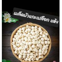 ราคา เม็ดบัวแห้ง แกะเปลือก 100 กรัม (17565194319)