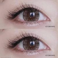 ราคา Tommy คอนแทคเลนส์ ลายฮิต เกล็ดหิมะ 14 5 (20600194570)