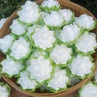 ราคา โปรยทาน ตัวเปล่า ดอกบัวปทุมมา สีขาว 1ชุด25ดอก 125บาท (20665726380)