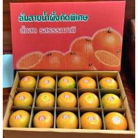 ราคา ส้มสายน้ำผึ้ง ส้มฝาง ส้มโชกุน ใหญ่พิเศษ เกรดพรีเมียม กล่อง บรรจุ 30 ลูก (12365248883)