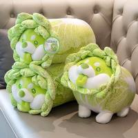 ราคา ตุ๊กตาผักกาดขาว ของเล่นเด็ก หมอนอิง น่ารักแก้มตุ้ย (20862117008)