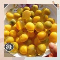 ราคา ผงทำไข่เยี่ยวม้า ไข่เยี่ยวม้า สีทอง 皮蛋粉 ห่อละ 140 กรัม (12391783771)
