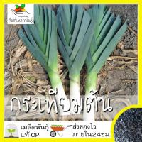ราคา เมล็ดพันธุ์ กระเทียมต้น 200 เมล็ด American Flags Leek เมล็ดพันธุ์แท้100 นำเข้าจากต่างประเทศ ปลูกผัก สวนครัว (3602762751)