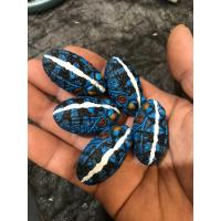 ราคา บอดี้เปล่ากบยาง กบยาง (20663289334)