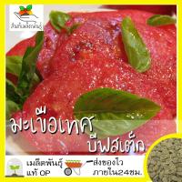 ราคา เมล็ดพันธุ์ มะเขือเทศ บีฟสเต็ก 50 เมล็ด Red Beefsteak Tomato เมล็ดพันธุ์แท้ นำเข้าจากต่างประเทศ ปลูกผัก สวนครัว ถูกดี (4460062498)