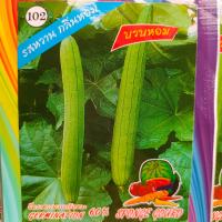 ราคา เมล็ดพันธุ์ บวบหอม 50 เมล็ด รสหวาน กลิ่นหอม ตราม้ารุ้ง เมล็ดผัก บวบหอม บวบ ผักสวนครัว (20161457235)