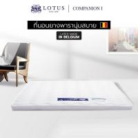 ราคา LOTUS ที่นอนยางพารารุ่น Companion l หนา 2 นิ้ว ส่งฟรี (16019542662)