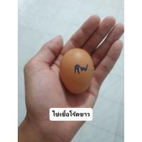 ราคา ไข่เชื้อรวมคละสายพันธุ์ 10 ฟองไข่ไก่มีเชื้อสำหรับฟัก (16065880207)