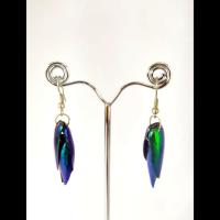 ราคา ตุ้มหูปีกแมลงทับ ราคา 39 บาท (14676361264)