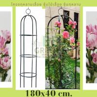 ราคา โครงกุหลาบ ซุ้มกุหลาบ มี2ขนาด โครงไม้เลื้อย ซุ้มไม้เลื้อย ซุ้มกุหลาบเลื้อย ซุ้ม ซุ้มต้นไม้ โครงเหล็กกุหลาบเลื้อย โครงเหล็ก (16173000215)
