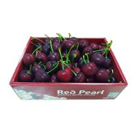 ราคา เชอร์รี่ สดอร่อยลูกใหญ่เชอรี่แดง Cherry 500g เกรดA USA Chile ลดพิเศษ Premium เชอรี่สด เชอรี่ชิลี เชอร์รี่สด เชอรี่อเมริกา เชอรี่นำเข้า (17377316203)