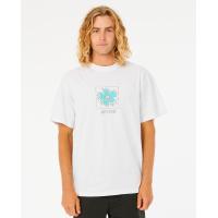 ราคา RIPCURL เสื้อยืด 02BMTE ARCHIVE HIBISCUS TEE S22 (16575260012)