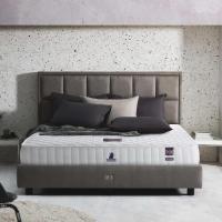 ราคา SB Design Square ที่นอน Dunlopillo รุ่น CHESTER ขนาด 3 5 ฟุต แถมฟรี หมอนหนุน 1 ใบ (14827659168)