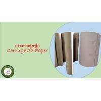 ราคา กระดาษลูกฟูกม้วน Corrugated Paper ลอน B หนา 2 ชั้น กว้าง1 20เมตร ยาว 70เมตร น้ำหนัก 30Kg (19929729589)