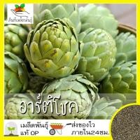 ราคา เมล็ดพันธุ์ อาร์ติโชค 30 เมล็ด Green Globe Artichoke seed เมล็ดพันธุ์แท้ นำเข้าจากต่างประเทศ100 ดอกไม้ ผัก สวนครัว ถูก (6252444053)