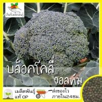ราคา เมล็ดพันธุ์ บล็อคโคลี่ วอลทัม 400 เมล็ด Waltham29 Broccoli เมล็ดพันธุ์แท้ นำเข้าจากต่างประเทศ ปลูกผัก สวนครัว ถูกดี (4576118265)