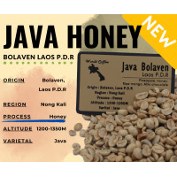 ราคา พร้อมส่ง เมล็ดกาแฟดิบ Java Honey Bolaven Laos PDR Honey process เมล็ดกาแฟนอก สารกาแฟลาว Green bean (16535720524)