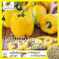 ราคา เมล็ดพันธุ์ พริกหวานสีเหลือง 30 เมล็ด Golden California Pepper seed เมล็ดพันธุ์แท้ นำเข้าจากต่างประเทศ ปลูกง่าย โตไว (7214836268)