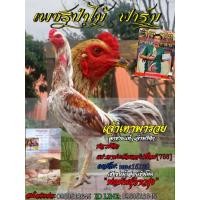 ราคา ไข่ไก่ชนสายเลือดเงินล้านราคา3ฟอง300บาท (10444637351)