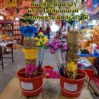 ราคา สุดปัง ต้นผ้าป่า ต้นกฐิน ต้นผ้าป่าพร้อมถังขนาด 55 ซม พร้อมไม้เสียบ KM12 1515 พร้อมส่ง ของอยู่ไทย (15122255033)