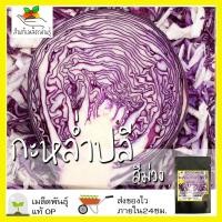 ราคา เมล็ดพันธุ์ ชุดกะหล่ำ ขายดี ปลูกง่าย โตไว กะหล่ำดาว กะหล่ำปลีม่วง กะหล่ำปลียักษ์ กะหล่ำดอกเขียว กะหล่ำปลีดัชช์ กะหล่ำบัว (10204812116)