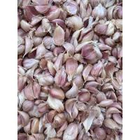 ราคา กระเทียม Garlic กระเทียมแกะกลีบ กระเทียมไทย บรรจุ 500 กรัม กระเทียมปลอดสาร (10592198453)
