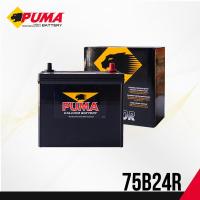 ราคา แบตเตอรี่รถยนต์ PUMA รุ่น 75B24R PB80R (15235062326)