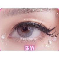ราคา คอนแทคเลนส์ Natural Brown Gray Shinee ขนาดมินิ (20892051764)