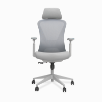 ราคา Bewell เก้าอี้ทำงานเพื่อสุขภาพ รุ่น FOSTER ปรับเอนพนักพิงได้ 90 108 องศา และล็อคองศาที่ต้องการ มี Lumbar Support ที่วางแขนปรับได้ (20902412308)