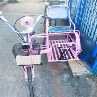 ราคา จักรยานพ่วงข้าง (20758620032)