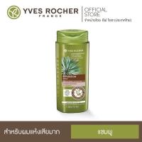 ราคา สูตรผมแห้งเสียมาก Yves Rocher Reparation Repair Shampoo 300 ml (19281171279)