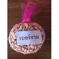 ราคา กระเทียมไทยเบอร์รวม 1 กก (20689683027)