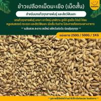 ราคา ข้าวเปลือกเม็ดมะเขือ ข้าวเปลือกเม็ดสั้น อาหารนกแก้วทุกสายพันธุ์ หนูแฮมสเตอร์ ไก่ชน ไก่แจ้ แบ่งขาย 250G 500G 1KG (19436021955)