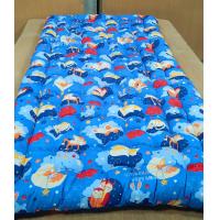 ราคา ที่นอนปิคนิค ที่นอนใยฝ้าย ขนาด 90 180 ซม พับได้ หนา นุ่ม นอนสบาย ไม่ปวดหลัง (20792588554)