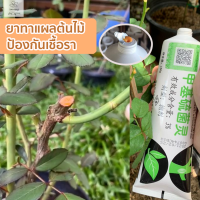 ราคา ยาทาแผลต้นไม้ ของแท้100 ป้องกันเชื้อรา มอนสเตอร่า พิโล เงินไหล บอนไซ แคคตัส ชวนชม บอนไซ 150 กรัม หลอดใหญ่ (13629569891)