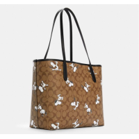 ราคา กระเป๋าผู้หญิง Coach 6160 กระเป๋าผู้หญิงไหล่กระเป๋าช้อปปิ้ง (20534026058)