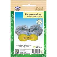 ราคา เมล็ดพันธุ์ ฟักทอง ทองคำ 443 ตราเจียไต๋ (20684826911)
