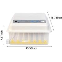 ราคา รับประกัน ตู้ฝักไข่ไก่ 56ฟอง ตู้ฟักไข่ ตู้ฟัก เครื่องฟักไข่อัตโนมัติ ตู้ฟักไข่ไก่ เครื่องฟักไข่อัตโนมัติ ไข่ไก่ เป็ด (20801062439)